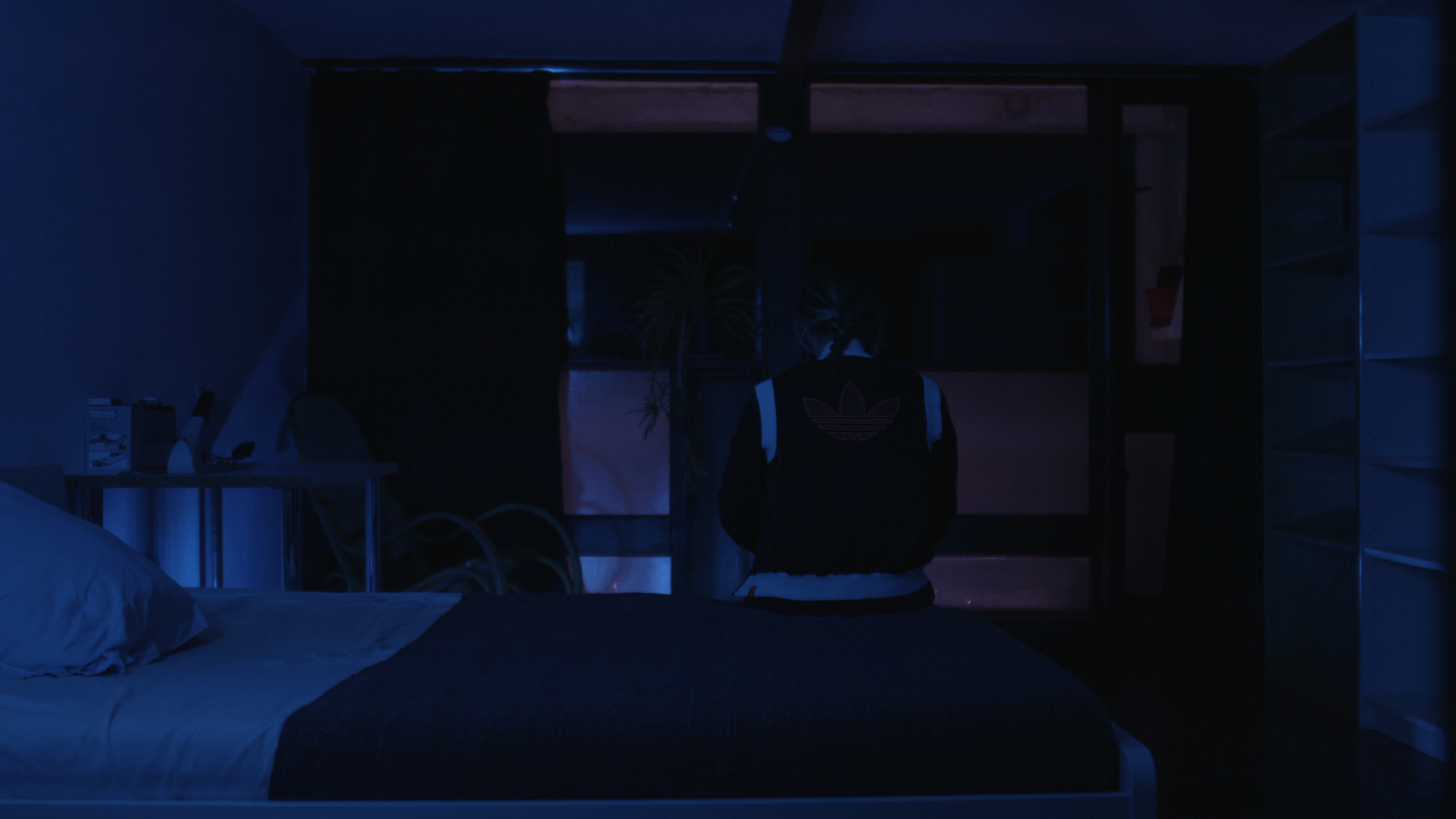 vlcsnap-2025-06-24-08h43m08s861